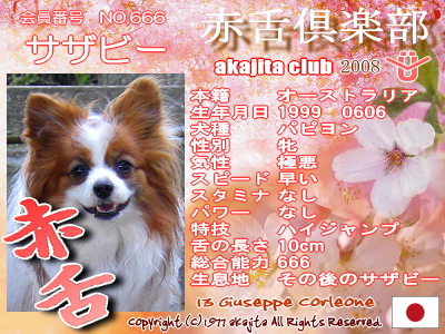 ÀÖÀå¶æ³ÚÉô¡¦½Õ¥ô¥¡¡¼¥¸¥ç¥óÅöÁª¼Ôȯɽ¡Á¡ú£