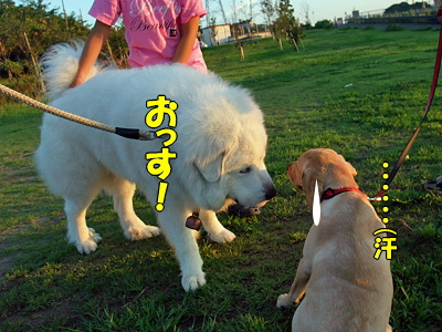 ¤¤¤Ä¤â¤Î¾ì½ê¤Ø§