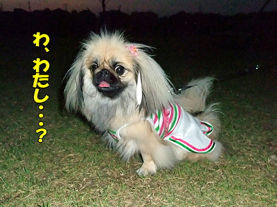 ²¿¸¤¡©¡©¨