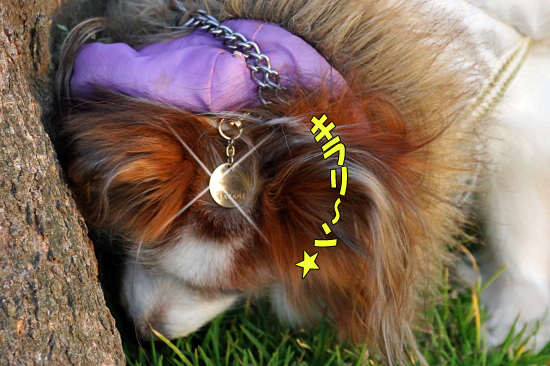 ¤ª¼é¤ê¡¢¥¥é¥ê¢ö¡¡09