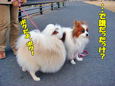 ¤Ï¤¤¡¢Àµ²ò¼Ô¤Ï¡©¡
