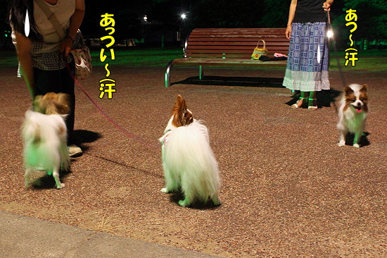 ¤¢¤¢¾¾Åç¤ä¡¦¡¦¡¦³