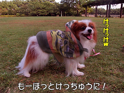 ¤â¤¦¥À¥á¥Ý¡¦¡¦¡¦¡¦¦