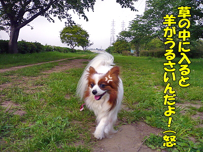 Áð¤ÎÃæ¤òÊ⤯¤È¡¦¡¦¡¦¥