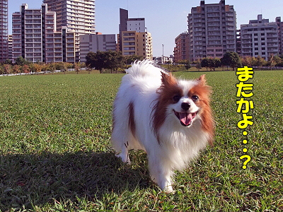 ¥é¥¹¥È¥Á¥ã¥ó¥¹¡ª¡