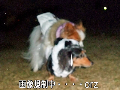 ¥Ñ¥ó¥ÀÍè½±¡¦¡¦¡¦¡¦¡¦¦