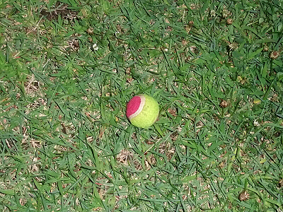 ÀŤ«¤ÊÌëª