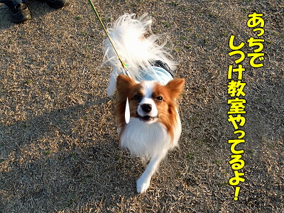 ¥À¥á¸¤¤·¤Ä¤±Áª¼ê¸¢¡ú£