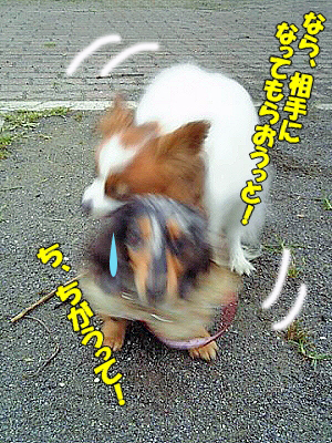 ¤Á¡¢°ã¤¦¤Ã¤Æ¤Ð¡ª¡ª
