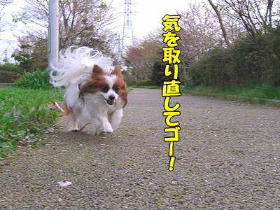 ºù»¶¤ë¡¦¡¦¡¦¨