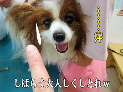 Ƨ¤ó¤À¤ê½³¤Ã¤¿¤ê³ú¤Þ¤ì¤¿¤ê¡¦¡¦¡¦©