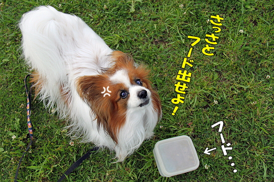 ¤½¤Î¸å¤Îº¸ÌÜ¡¦¡¦¡¦¡¡07