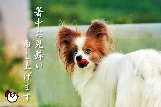 ½ëÃæ¤ª¸«Éñ¤¤¿½¤·¾å¤²¤Þ¤¹¡ú2014¡¡01