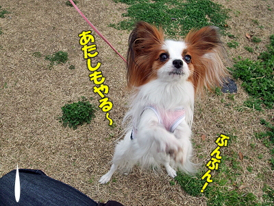 ¤¹¤×¤ê¤ó¤°¡ú¥×¥Á¥ª¥Õ part2¤
