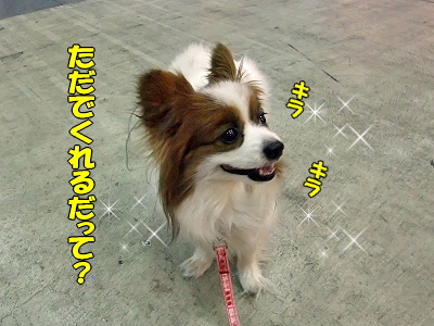 ¥µ¥¶¥Ó¡¼¡¢²£ÉͤËΩ¤Ä¡ª¤Î´¬¤¦