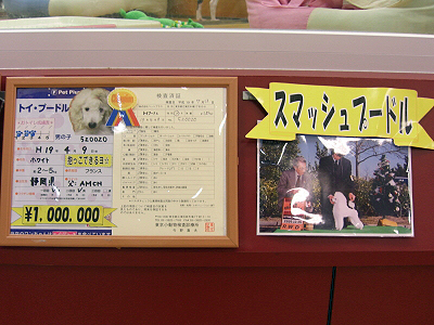 How mach ?¨