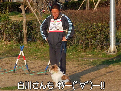 ¥À¥á¸¤¤·¤Ä¤±Áª¼ê¸¢¡ú¨