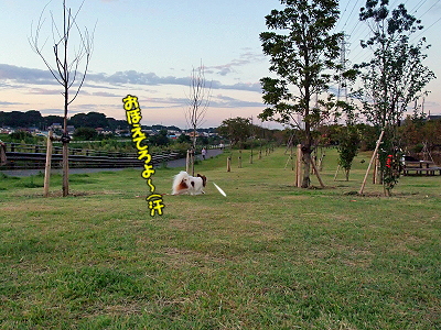 ±«¤â°ìÃÊÍî®