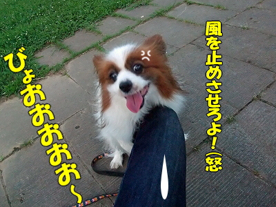 ÂÔ¤Á¹ç¤ï¤»¢ö¥