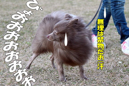 ÆîÉ÷Âз衡04