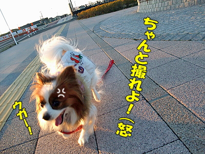 ¼ê¤¬¤«¤¸¤«¤ó¤Ç¡Ê´À¥