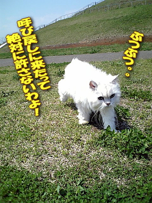¤Ö¤Ä¤¯¤µ¤Ö¤Ä¤¯¤µ¡£¡£