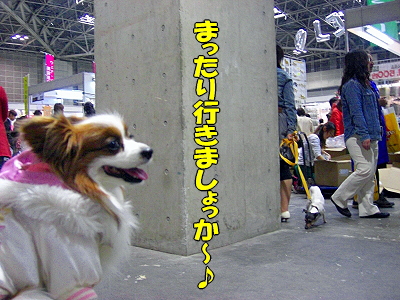 ¥¢¥¸¥¢¥¤¥ó¥¿¡¼2008¡Ê¸åÊӡˤ
