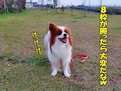 ½©Àå¤Ïµ´Ì礫¡©¢