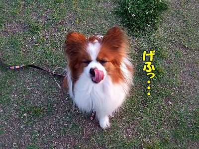 ¤µ¤µ¤ß¤¸¤ã¤¬¤¸¤ã¤¬ª