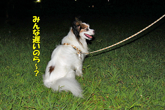 »Ä½ë¤ª¸«Éñ¤¤¿½¤·¾å¤²¤Þ¤¹¡ú±