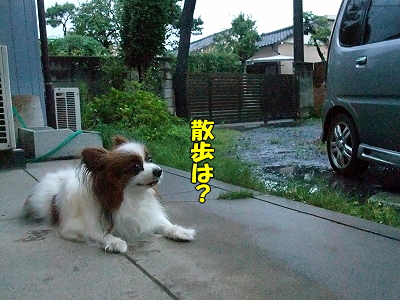 ±«¤ÎÄ«¡¦¡¦¡¦¢