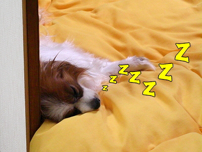 µÇ°È껣±Æ£÷£÷¡