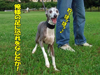 ¤½¤Î¥µ¥¶¡¦ÈÖ³°ÊÔ©
