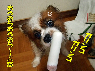 É÷Ϥ¾å¤¬¤ê¤ÎÌëÃæ¤Ë§
