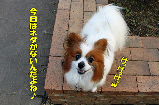 ¥ì¥ó¥º¡ú¢