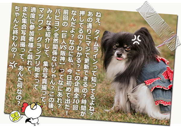 ¡Ú¥µ¥¶¥ª¥Õ¡¦2014¡Û¡ú¤½¤Î3¡¡¼«¸Ê¾Ò²ð¥¿¡Á¥¤¥à¢ö¡¡02