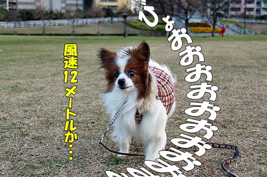 ÆîÉ÷Âз衡03