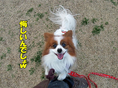 ¥µ¥¶¥Ó¡¼¤È¥Þ¥¤¥ß¥¯¤Ë¤Ê¤í¤¦¢ö¥