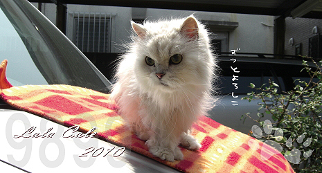 ¡Ú¥µ¥¶¥«¥ì2010¡ÛbetaÈÇ£