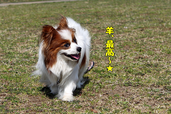 ¹¬¤»¤Ê½Ö´Ö¦