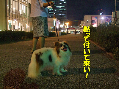 Î׳¤¥é¥ó¥Ç¥Ö¡¼¤