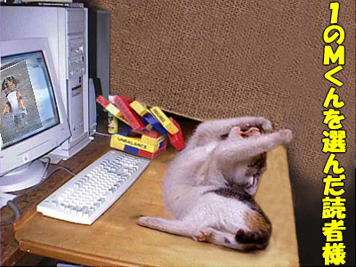 M¤¯¤ó¤À¤È»×¤¦¤¿¿Í¡£¡£orz