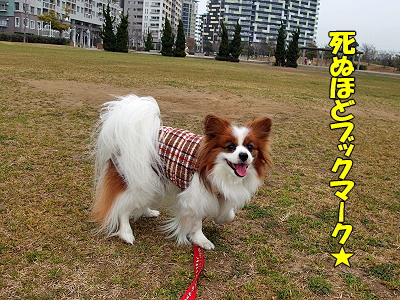 JOY¤È¶¦¤Ë¡¦Á°ÊÔ¦