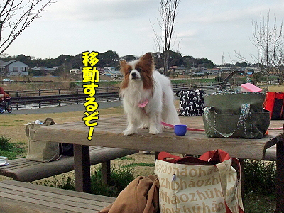 ¤¹¤×¤ê¤ó¤°¡ú¥×¥Á¥ª¥Õ part3£