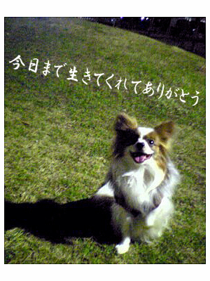 Happy Birthday sazaby¦