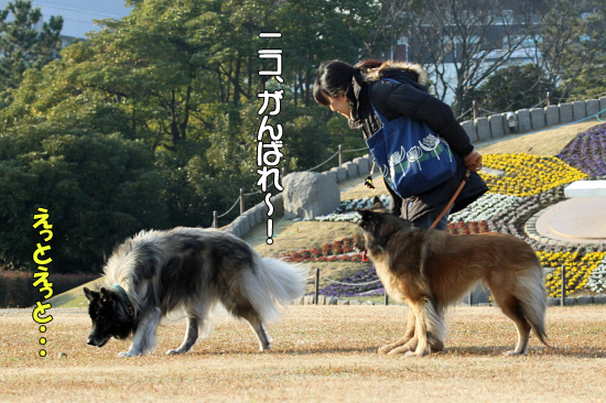 ¤â¤¦°ìÅÙ¡¢¥Ë¥³¥é¥¹¡¡21