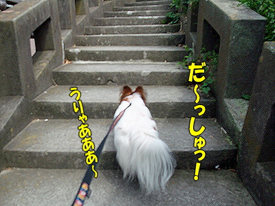 38ǯ²ñ⑱