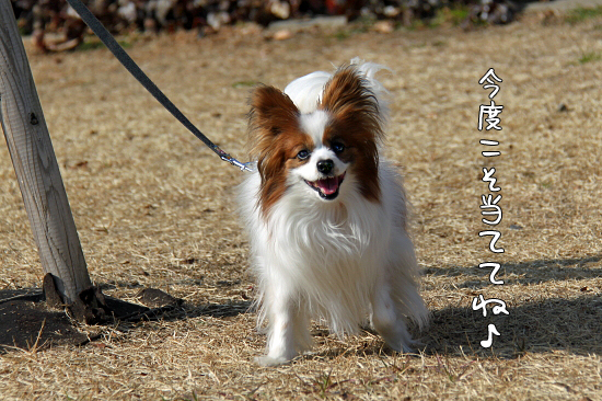 Á´ÌǤʤΤǡ¢¤â¤¦°ì²ó¡©¡¡06