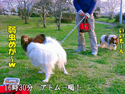 ¥¢¥È¥àºÇ¶¯¡©ª