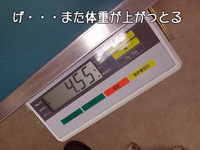 ¥ª¥â¥í¡¼¤Ê´é¡ú¤